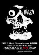 画像2: 2025年12月13日（土）東京下北沢SHELTER (ticket) (2)