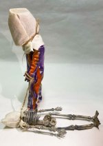 画像5: 2025 HALLOWEEN SKULLMAN (レギュラーエディション) (5)