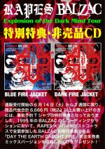 画像3: RAPES & BALZAC コラボレーショントートバッグ (3)